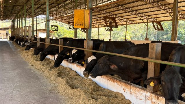 FAZENDA 657 HECTARES – PRÓXIMO Á TEOFILO OTONI