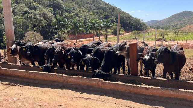 FAZENDA 657 HECTARES – PRÓXIMO Á TEOFILO OTONI