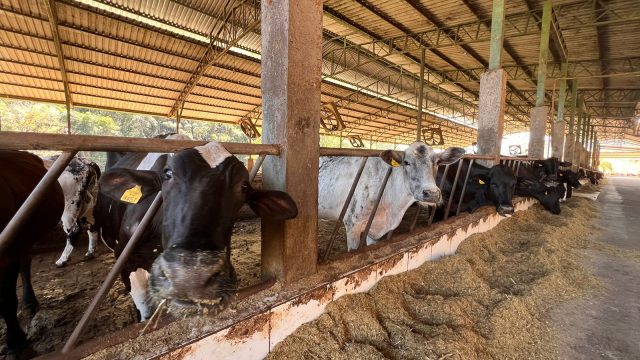 FAZENDA 657 HECTARES – PRÓXIMO Á TEOFILO OTONI