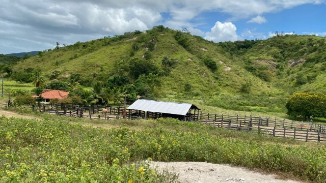 FAZENDA 120 ALQUEIRES – CAMPANÁRIO MG