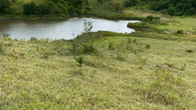 FAZENDA 120 ALQUEIRES – CAMPANÁRIO MG