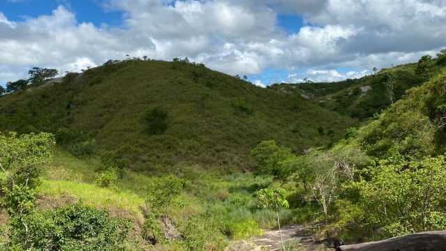 FAZENDA 120 ALQUEIRES – CAMPANÁRIO MG