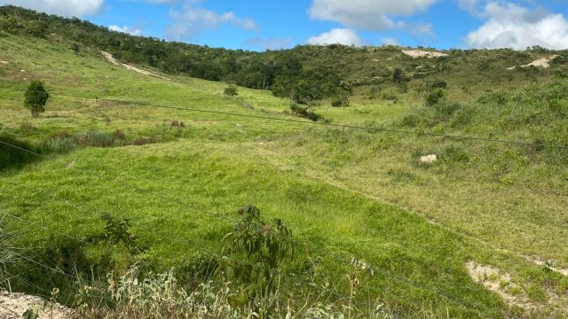 FAZENDA 120 ALQUEIRES – CAMPANÁRIO MG