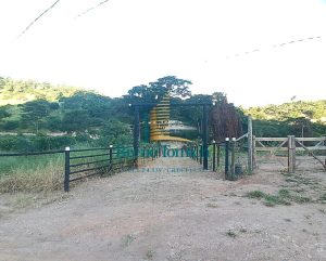 Chácara à venda, 19000 m² a partir de R$ 180.000 Estrada de Poté Teófilo Otoni/MG