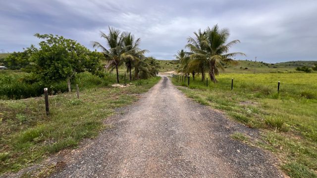 SÍTIO 35.000 Mt² – Carlos chagas – R$ 1.200.000,00