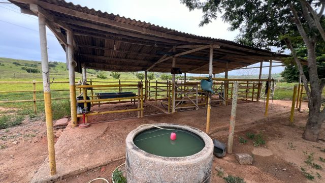 SÍTIO 35.000 Mt² – Carlos chagas – R$ 1.200.000,00