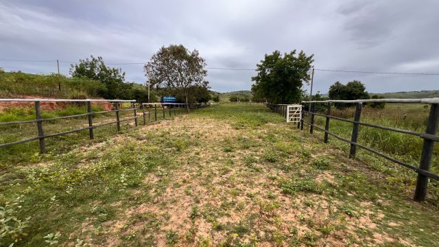 SÍTIO 35.000 Mt² – Carlos chagas – R$ 1.200.000,00