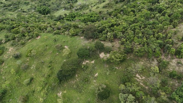 LINDO SÍTIO 03 ALQUEIRES – 20 MINUT.TEÓFILO OTONI