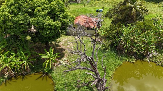 LINDO SÍTIO 03 ALQUEIRES – 20 MINUT.TEÓFILO OTONI