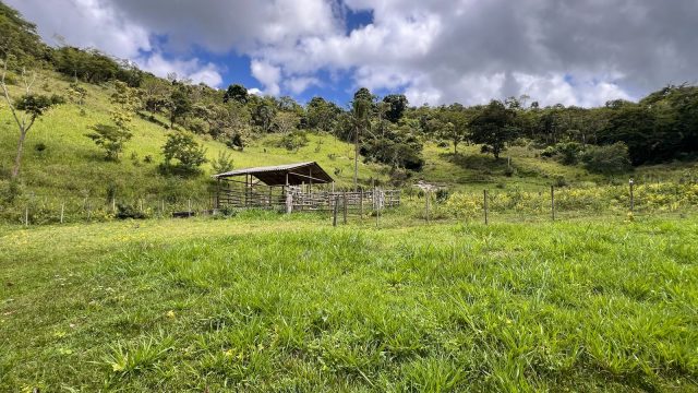 LINDO SÍTIO 03 ALQUEIRES – 20 MINUT.TEÓFILO OTONI