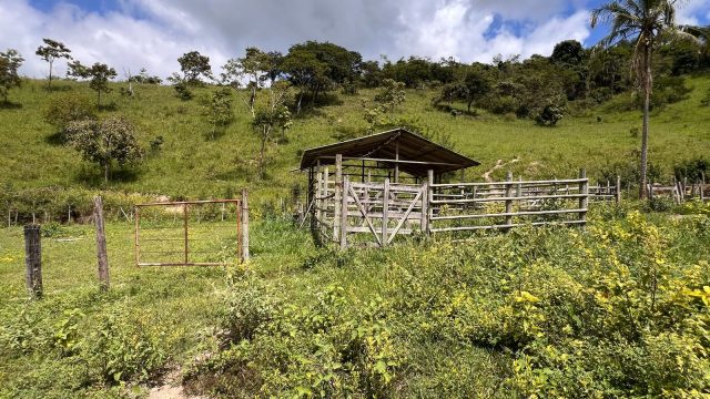 LINDO SÍTIO 03 ALQUEIRES – 20 MINUT.TEÓFILO OTONI