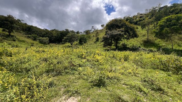 LINDO SÍTIO 03 ALQUEIRES – 20 MINUT.TEÓFILO OTONI