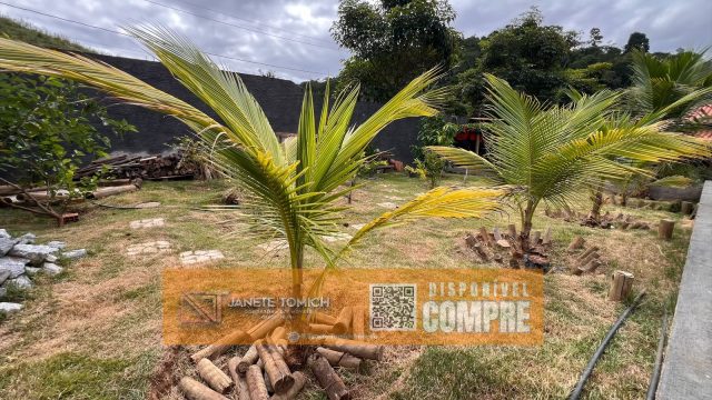 LINDA CHÁCARA – PRÓX.A TEÓFILO OTONI – R$ 800.000,00