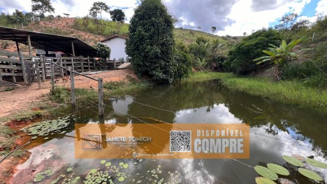 VENDO SÍTIO 04 ALQUEIRES – 10 KM DE T.OTONI – R$ 650.000,00