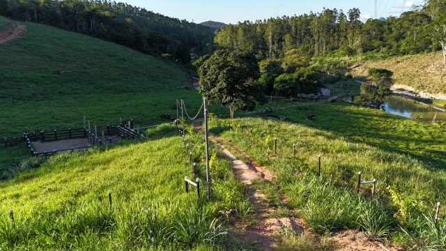 SÍTIO LUXO – 6,5 ALQUEIRES – 20 KM DE TEÓFILO OTONI – R$ 1.200.000,00