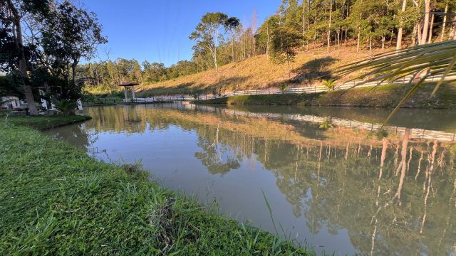 SÍTIO LUXO – 6,5 ALQUEIRES – 20 KM DE TEÓFILO OTONI – R$ 1.200.000,00