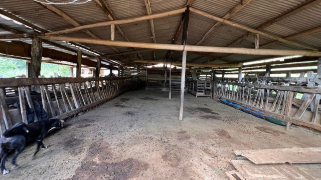 VENDO SÍTIO – 09 ALQUEIRES – PROX.A ITAMBACURI – R$1.200.000,00