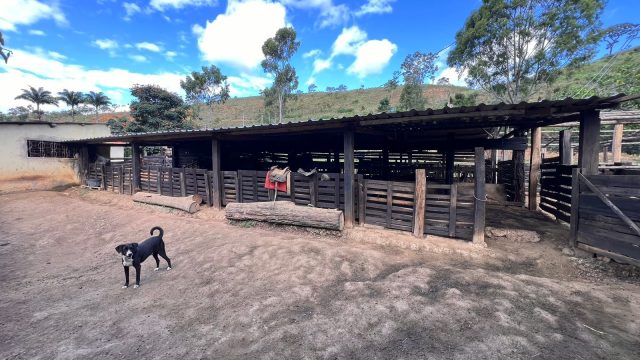 VENDO SÍTIO – 09 ALQUEIRES – PROX.A ITAMBACURI – R$1.200.000,00