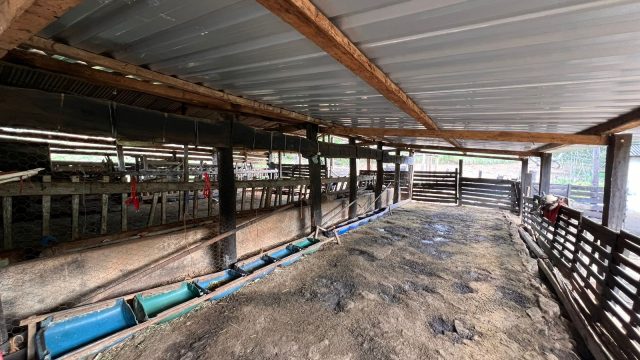 VENDO SÍTIO – 09 ALQUEIRES – PROX.A ITAMBACURI – R$1.200.000,00
