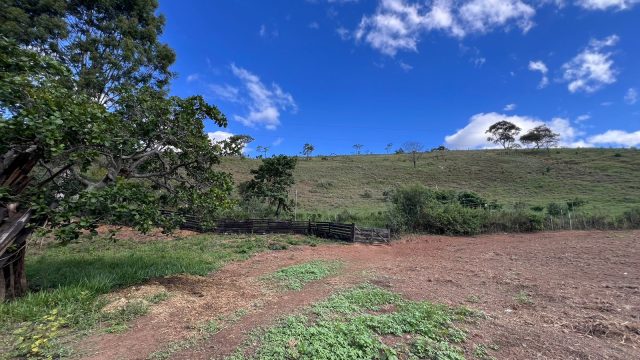 VENDO SÍTIO – 09 ALQUEIRES – PROX.A ITAMBACURI – R$1.200.000,00