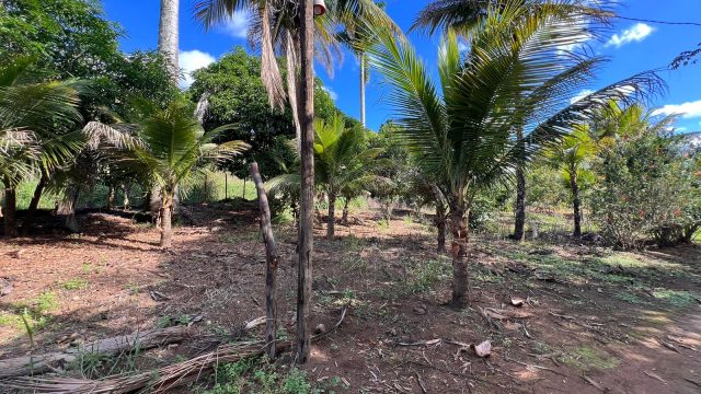 VENDO SÍTIO – 09 ALQUEIRES – PROX.A ITAMBACURI – R$1.200.000,00