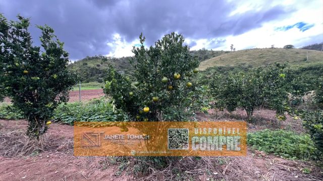 FAZENDA 14 ALQUEIRES – 25 KM DE ITAMBACURI – R$ 2.800.000,00