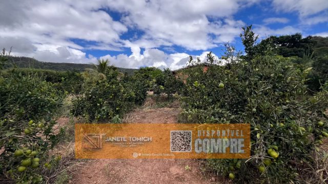 FAZENDA 14 ALQUEIRES – 25 KM DE ITAMBACURI – R$ 2.800.000,00