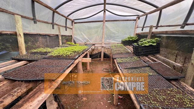 FAZENDA 14 ALQUEIRES – 25 KM DE ITAMBACURI – R$ 2.800.000,00