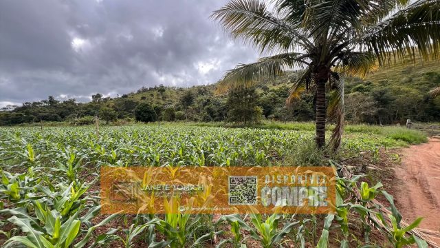 FAZENDA 14 ALQUEIRES – 25 KM DE ITAMBACURI – R$ 2.800.000,00