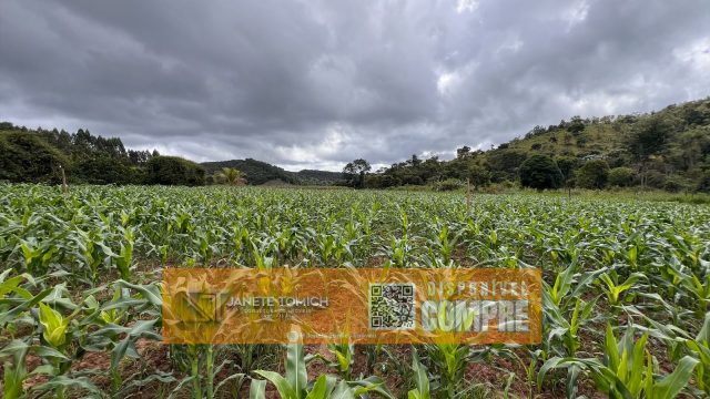 FAZENDA 14 ALQUEIRES – 25 KM DE ITAMBACURI – R$ 2.800.000,00