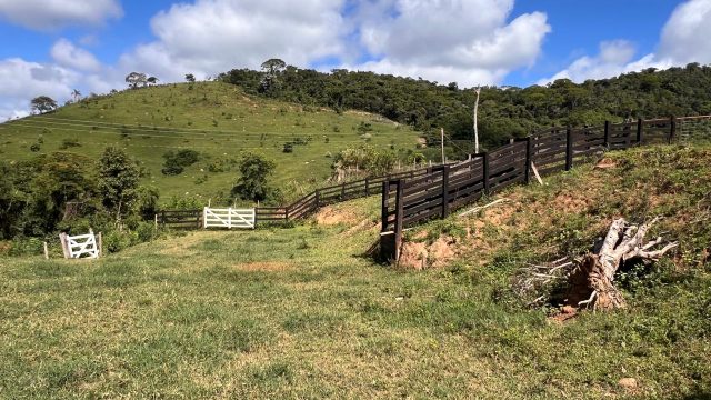FAZENDA 18 ALQUEIRES – 25 KM DE ITAMBACURI – R$ 1.980.000,00