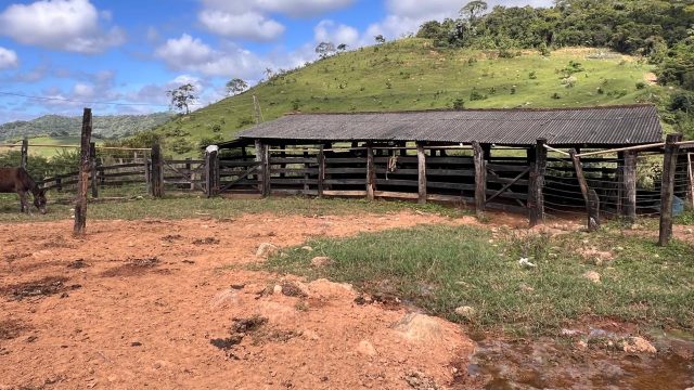 FAZENDA 18 ALQUEIRES – 25 KM DE ITAMBACURI – R$ 1.980.000,00