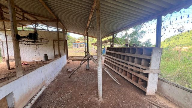 FAZENDA 18 ALQUEIRES – 25 KM DE ITAMBACURI – R$ 1.980.000,00