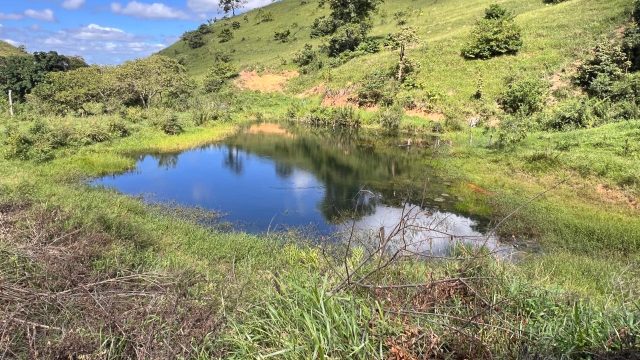 FAZENDA 18 ALQUEIRES – 25 KM DE ITAMBACURI – R$ 1.980.000,00