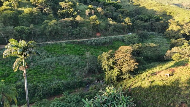 SÍTIO 16 ALQUEIRES – 77,44 HA –  ITAMBACURI MG – R$ 2.280.000,00