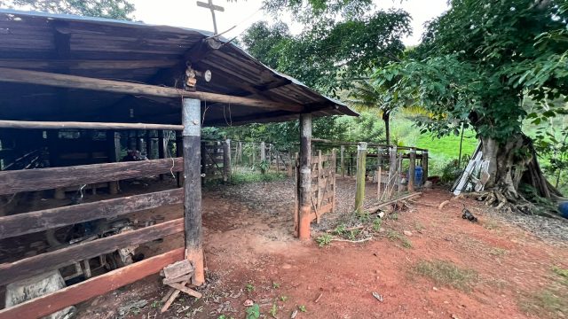 SÍTIO 16 ALQUEIRES – 77,44 HA –  ITAMBACURI MG – R$ 2.280.000,00