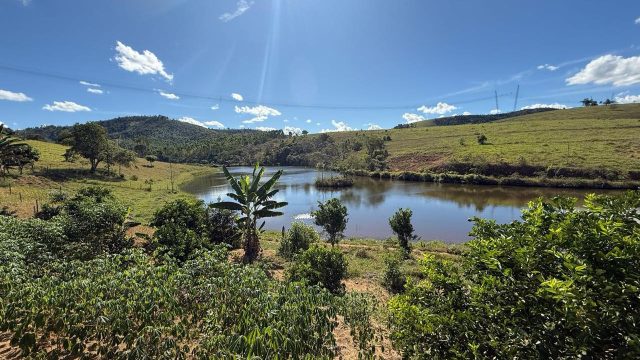 EXCELENTE FAZENDA EM CATUJI – 188,78 HECTARES – R$ 3.900.000,00