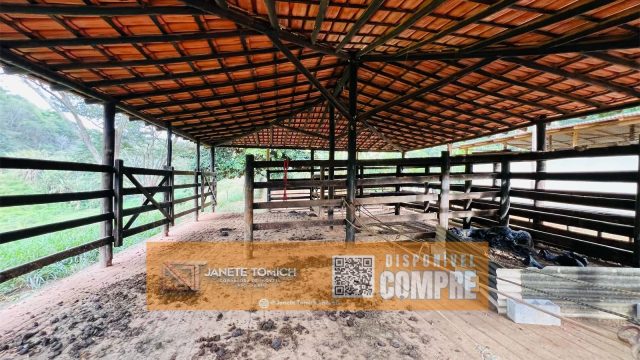 EXCELENTE SÍTIO 25 KM DE TEÓFILO OTONI – 22.000 MTS² -R$ 1.000.000,00