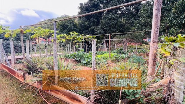 EXCELENTE SÍTIO 25 KM DE TEÓFILO OTONI – 22.000 MTS² -R$ 1.000.000,00