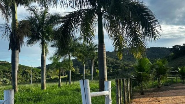 LINDA FAZENDA DE 212 HA –  BR 217 – 12 KM ÁGUA BOA – R$ 6.000.000,00