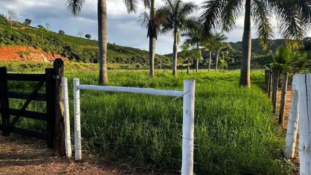 LINDA FAZENDA DE 212 HA –  BR 217 – 12 KM ÁGUA BOA – R$ 6.000.000,00