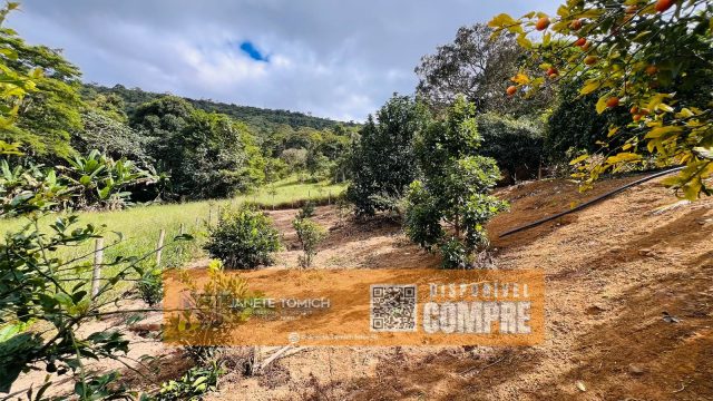 SÍTIO 05 ALQUEIRES – 12 KM DE TEÓFILO OTONI R$ 600.000,00