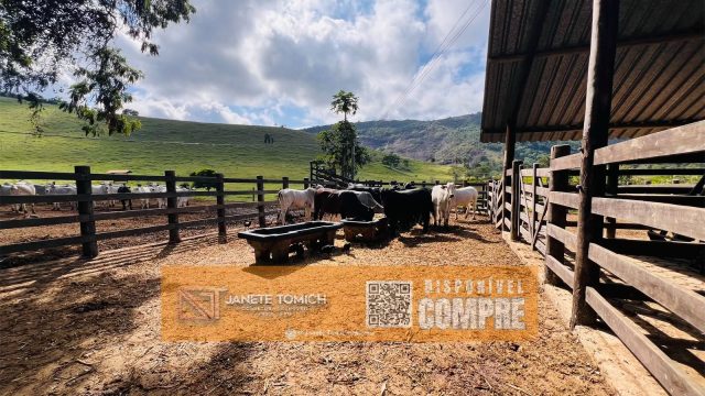 FAZENDA LUXO -164 HECTARES – 30 KM DE TEÓFILO OTONI R$ 4.080.000,00