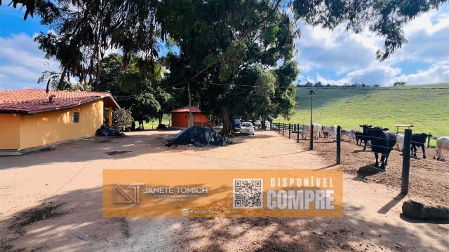 FAZENDA LUXO -164 HECTARES – 30 KM DE TEÓFILO OTONI R$ 4.080.000,00