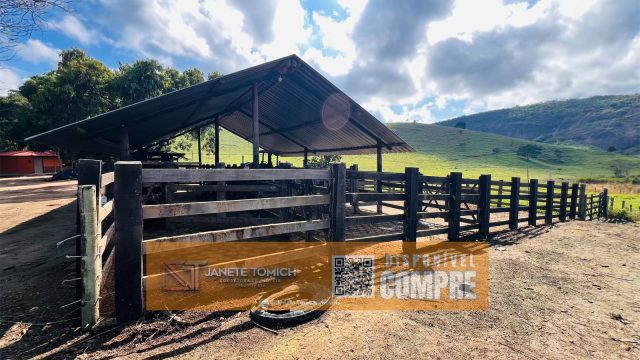 FAZENDA LUXO -164 HECTARES – 30 KM DE TEÓFILO OTONI R$ 4.080.000,00