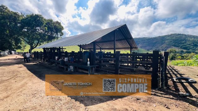 FAZENDA LUXO -164 HECTARES – 30 KM DE TEÓFILO OTONI R$ 4.080.000,00