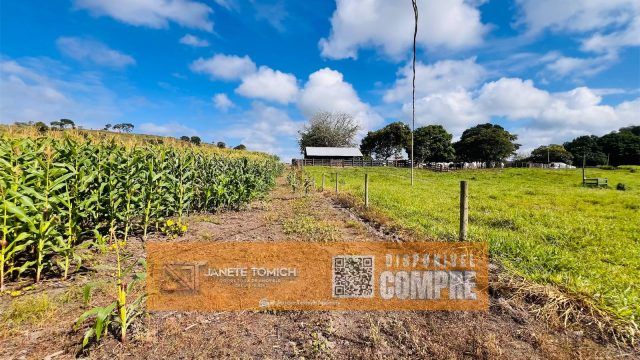 FAZENDA LUXO -164 HECTARES – 30 KM DE TEÓFILO OTONI R$ 4.080.000,00