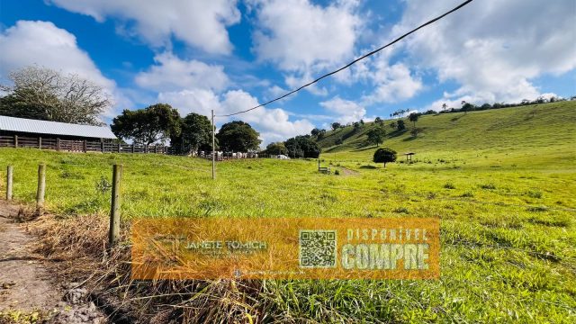 FAZENDA LUXO -164 HECTARES – 30 KM DE TEÓFILO OTONI R$ 4.080.000,00
