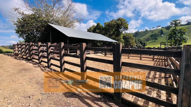 FAZENDA LUXO -164 HECTARES – 30 KM DE TEÓFILO OTONI R$ 4.080.000,00
