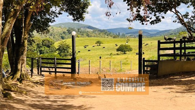 FAZENDA LUXO -164 HECTARES – 30 KM DE TEÓFILO OTONI R$ 4.080.000,00
